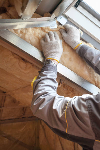 Best Types of Insulation in Westway, TX