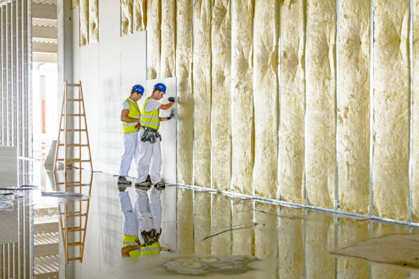 Best Residential Insulation in Westway, TX